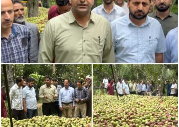 SDM Zainapora Visits Wind-Affected Villages of Hermain, Reviews Extensive Damage to Apple Orchards