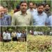 SDM Zainapora Visits Wind-Affected Villages of Hermain, Reviews Extensive Damage to Apple Orchards