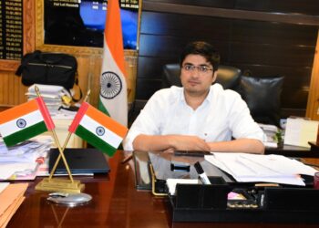 Srinagar to Get Designated Street Food Zones