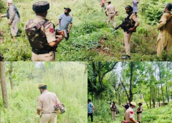 Baramulla Police Intensify Drive Against Wild Bhung; 03 Kanals Cleared at Wanigam Payeen