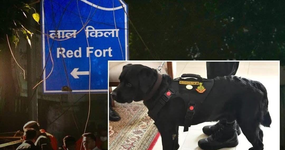 NSG Sniffer Dog ‘Donny’ Honoured With Chief of Army Staff Commendation Card