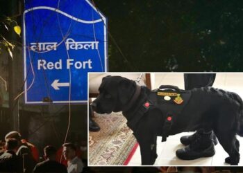 NSG Sniffer Dog ‘Donny’ Honoured With Chief of Army Staff Commendation Card