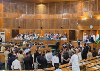 BJP Protests Against Greater Autonomy Resolution, Sits Inside Assembly Well