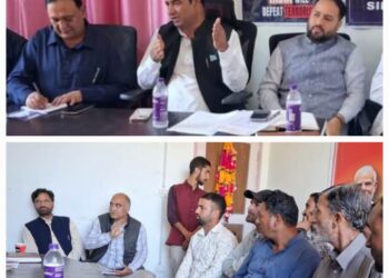 Mohammad Anwar Khan Chairs BJP Kulgam Review Meeting, Stresses Stronger Grassroots Organisation
