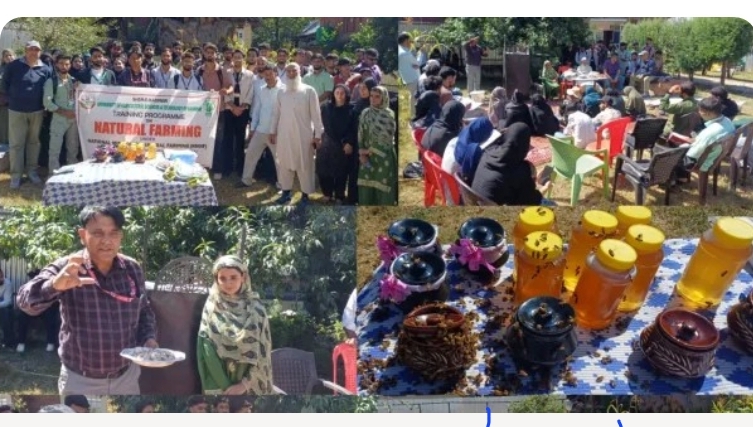 KVK Kupwara Organises Training on Natural Farming in Magam, 53 Farmers and 36 SKUAST-K Students Participate
