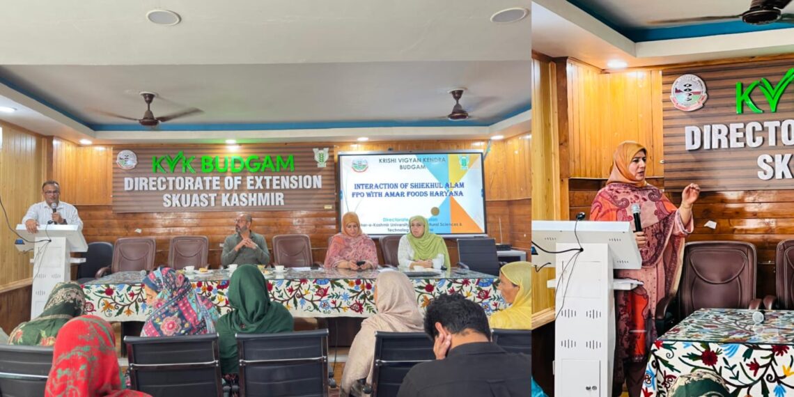SKUAST-K’s KVK Budgam Holds Interaction Programme with Amar Agro, Farmers on Iceberg Lettuce Cultivation