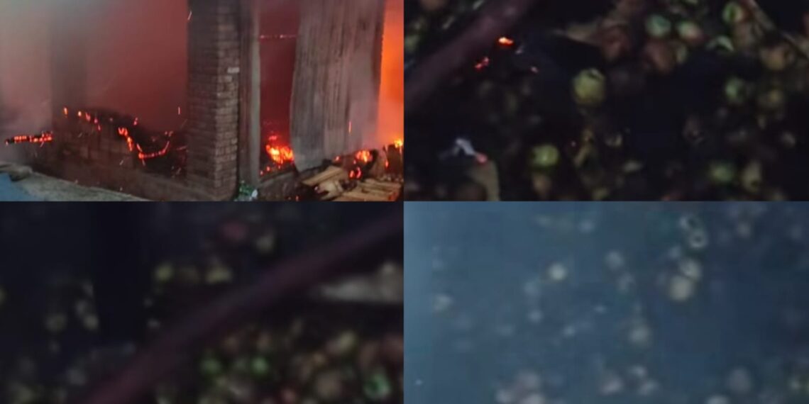 Fire Damages Around 1,000 Apple Boxes in Sopore
