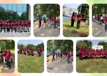 Defence Accounts Department Conducts Nationwide Cleanliness Drive, Plants Over 25,000 Trees