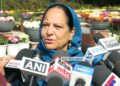 Chrysanthemum Garden to Boost Kashmir’s Autumn Tourism, 3.5 Lakh Flowers Planted: Dir Masoom