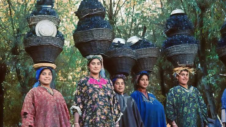 Empowering Kashmiri Girls, Transforming Kashmir’s Future