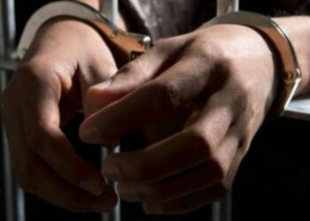 Jammu Woman Booked Under Official Secrets Act Over Alleged Espionage Links